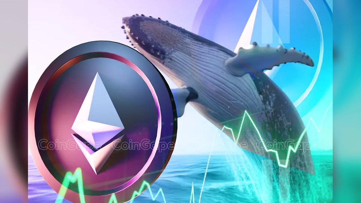 Ethereum Whales Dominate Global Crypto Markets as Large Investors Accumulate Massive ETH Holdings Across Worldwide Exchanges Amid Price Volatility Concerns